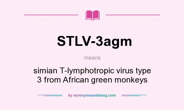 What does STLV-3agm mean? It stands for simian T-lymphotropic virus type 3 from African green monkeys