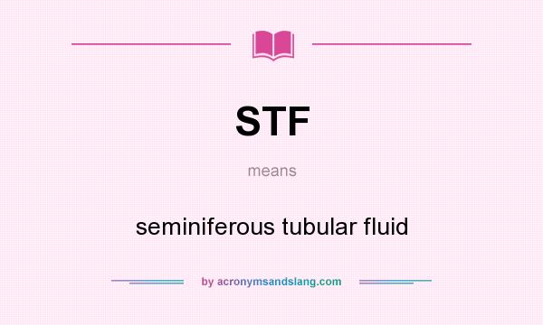 What does STF mean? It stands for seminiferous tubular fluid