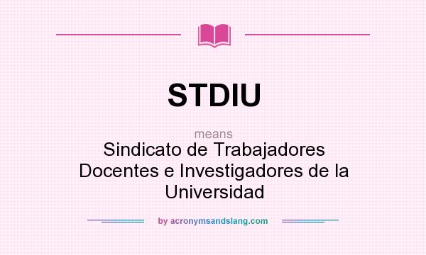 What does STDIU mean? It stands for Sindicato de Trabajadores Docentes e Investigadores de la Universidad
