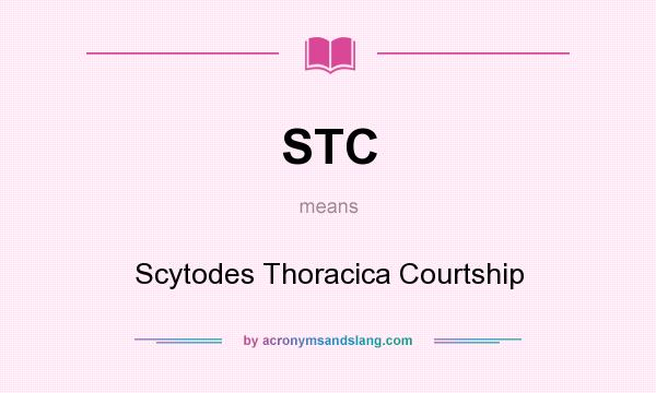What does STC mean? It stands for Scytodes Thoracica Courtship
