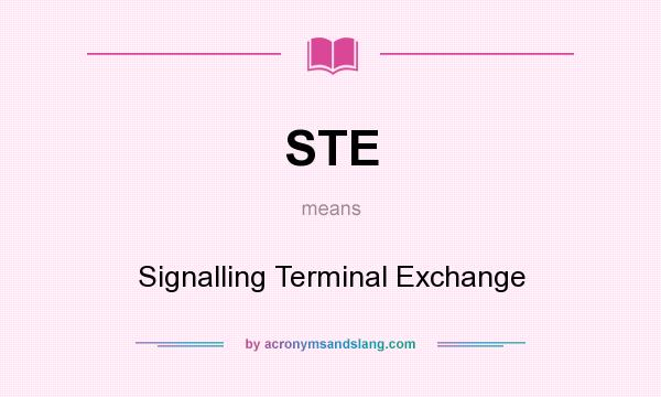 What does STE mean? It stands for Signalling Terminal Exchange