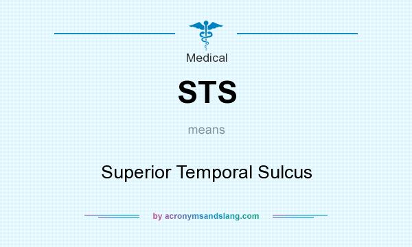 What does STS mean? It stands for Superior Temporal Sulcus