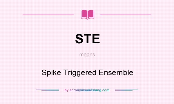 What does STE mean? It stands for Spike Triggered Ensemble