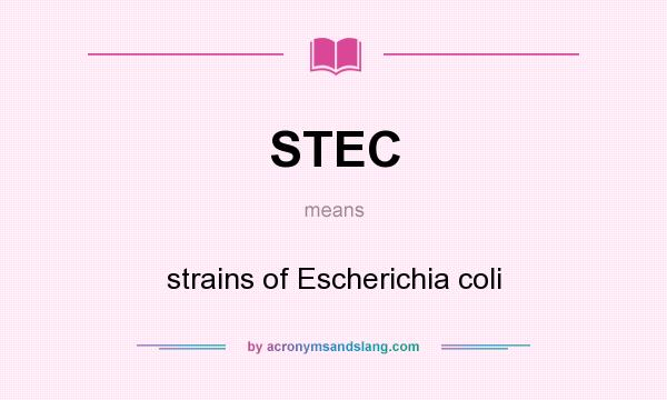 What does STEC mean? It stands for strains of Escherichia coli