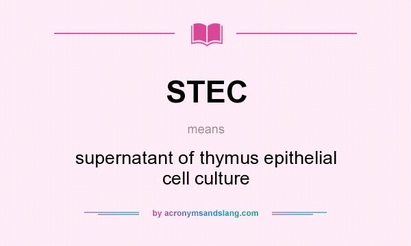What does STEC mean? It stands for supernatant of thymus epithelial cell culture