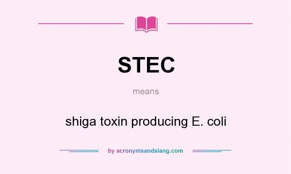 What does STEC mean? It stands for shiga toxin producing E. coli
