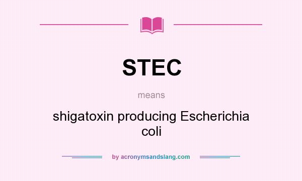 What does STEC mean? It stands for shigatoxin producing Escherichia coli