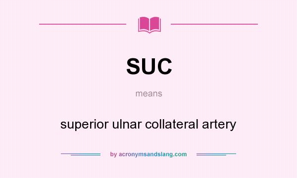 What does SUC mean? It stands for superior ulnar collateral artery