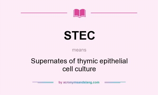 What does STEC mean? It stands for Supernates of thymic epithelial cell culture