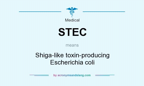 What does STEC mean? It stands for Shiga-like toxin-producing Escherichia coli