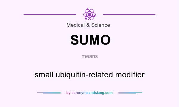 What does SUMO mean? It stands for small ubiquitin-related modifier