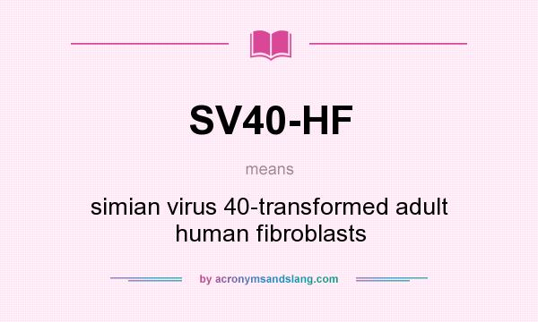 What does SV40-HF mean? It stands for simian virus 40-transformed adult human fibroblasts