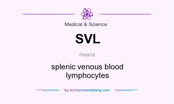 What does SVL mean? It stands for splenic venous blood lymphocytes