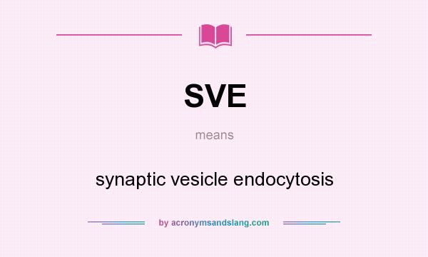 What does SVE mean? It stands for synaptic vesicle endocytosis