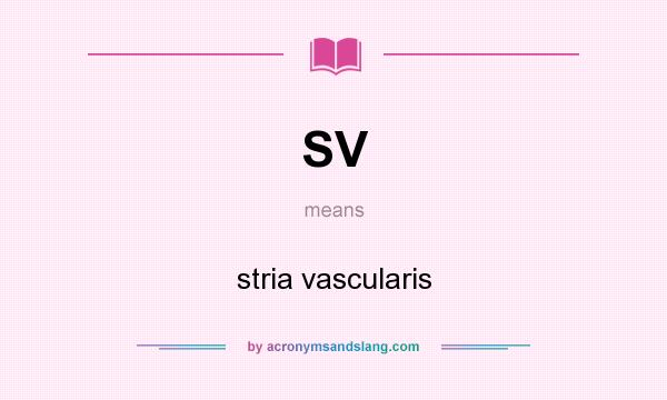 What does SV mean? It stands for stria vascularis