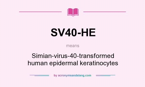 What does SV40-HE mean? It stands for Simian-virus-40-transformed human epidermal keratinocytes