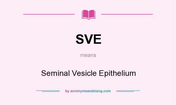What does SVE mean? It stands for Seminal Vesicle Epithelium