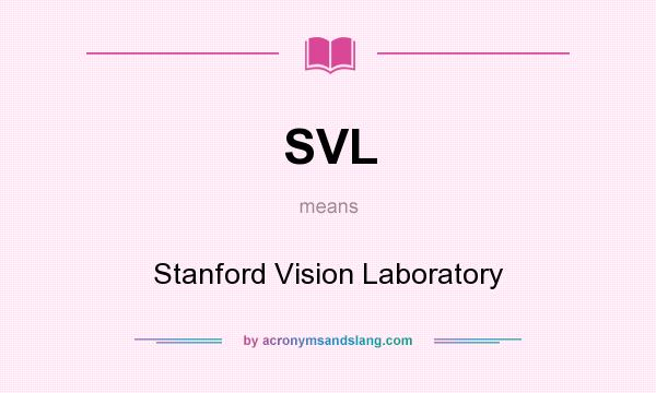 What does SVL mean? It stands for Stanford Vision Laboratory