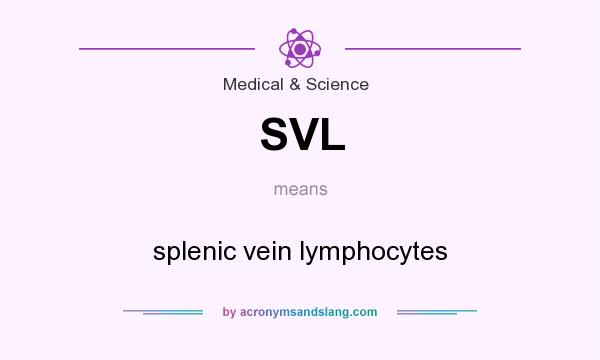 What does SVL mean? It stands for splenic vein lymphocytes