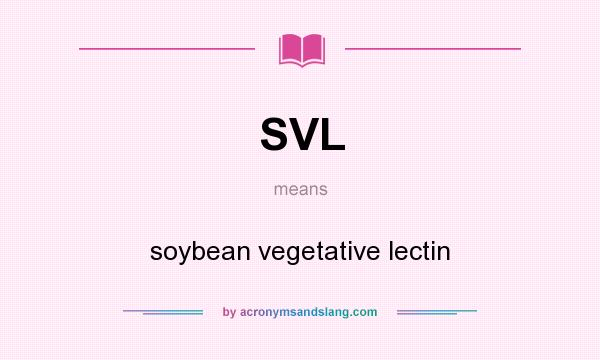 What does SVL mean? It stands for soybean vegetative lectin