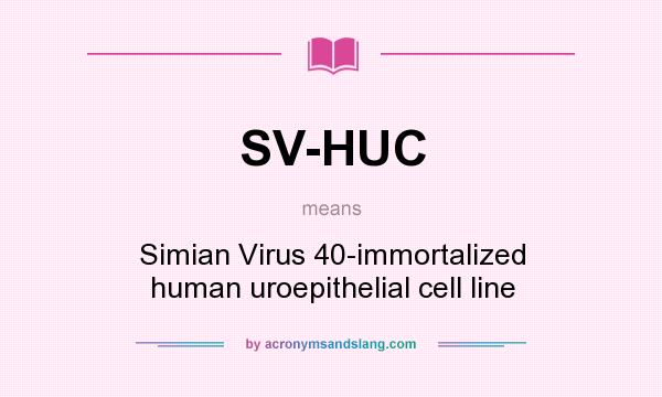 What does SV-HUC mean? It stands for Simian Virus 40-immortalized human uroepithelial cell line