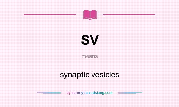 What does SV mean? It stands for synaptic vesicles