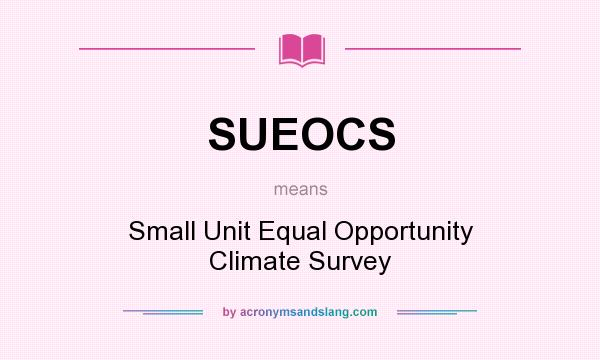 What does SUEOCS mean? It stands for Small Unit Equal Opportunity Climate Survey