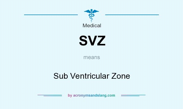 What does SVZ mean? It stands for Sub Ventricular Zone