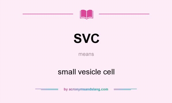 What does SVC mean? It stands for small vesicle cell