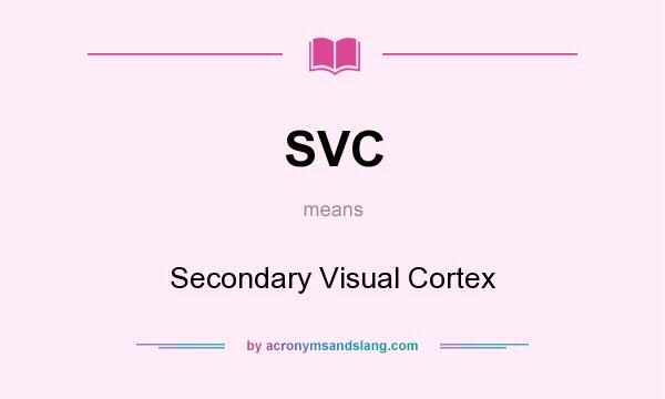 What does SVC mean? It stands for Secondary Visual Cortex
