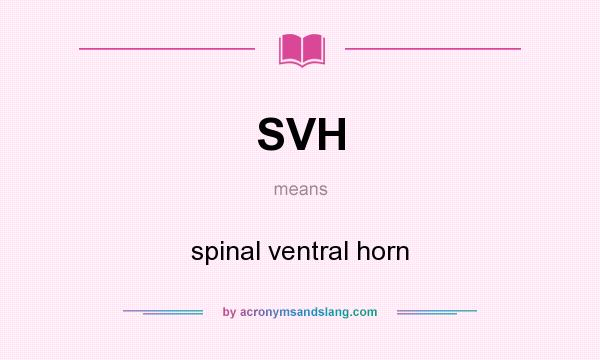 What does SVH mean? It stands for spinal ventral horn