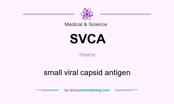 What does SVCA mean? It stands for small viral capsid antigen