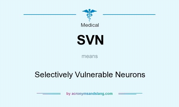 What does SVN mean? It stands for Selectively Vulnerable Neurons