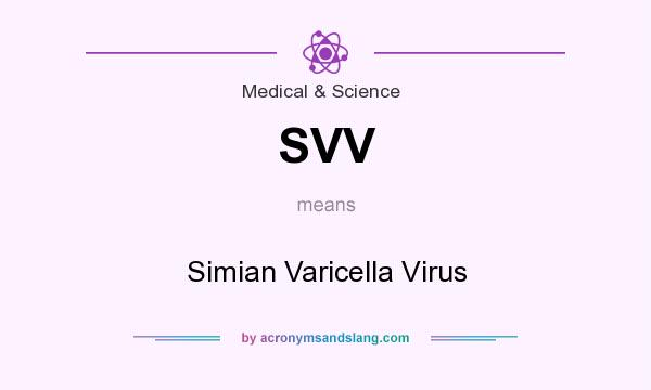 What does SVV mean? It stands for Simian Varicella Virus