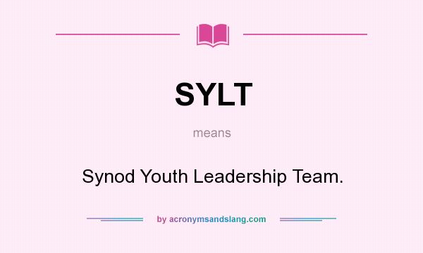 What does SYLT mean? It stands for Synod Youth Leadership Team.