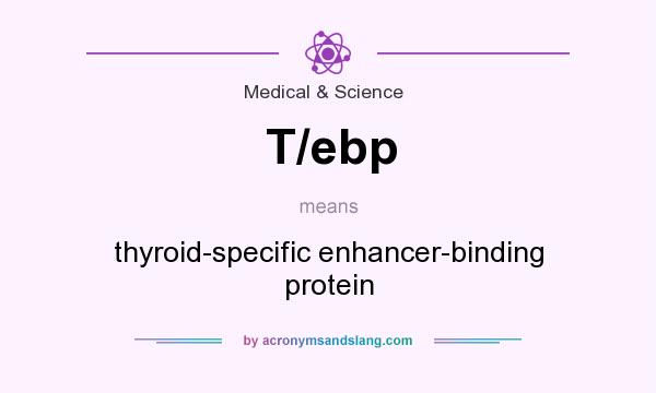 What does T/ebp mean? It stands for thyroid-specific enhancer-binding protein