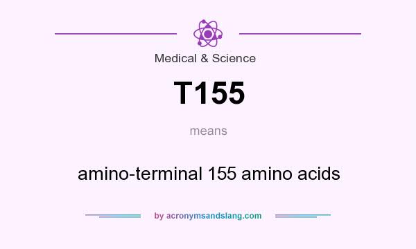 What does T155 mean? It stands for amino-terminal 155 amino acids