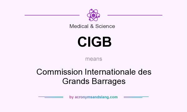 What does CIGB mean? It stands for Commission Internationale des Grands Barrages