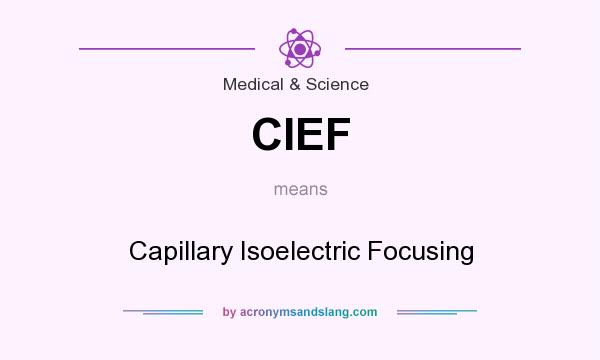 What does CIEF mean? It stands for Capillary Isoelectric Focusing