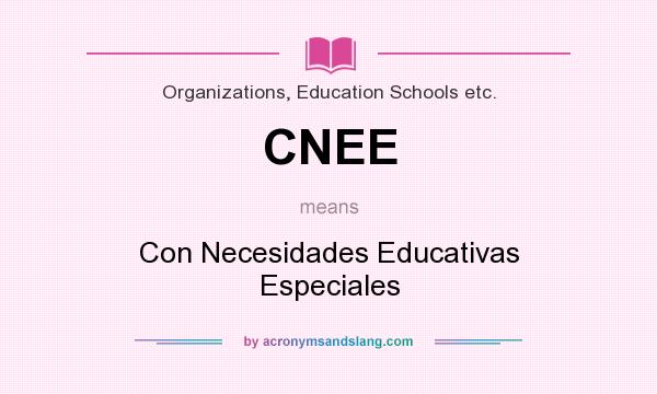What does CNEE mean? It stands for Con Necesidades Educativas Especiales