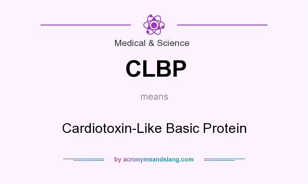 What does CLBP mean? It stands for Cardiotoxin-Like Basic Protein