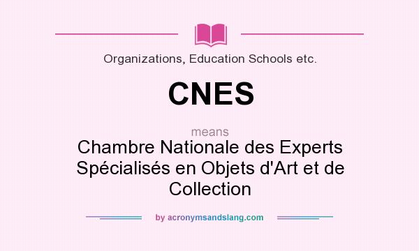 What does CNES mean? It stands for Chambre Nationale des Experts Spécialisés en Objets d`Art et de Collection