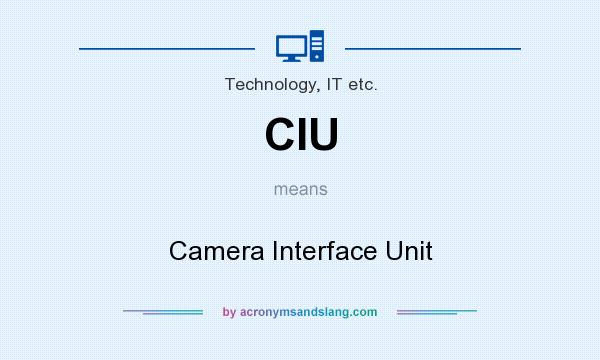 What does CIU mean? It stands for Camera Interface Unit