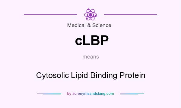 What does cLBP mean? It stands for Cytosolic Lipid Binding Protein