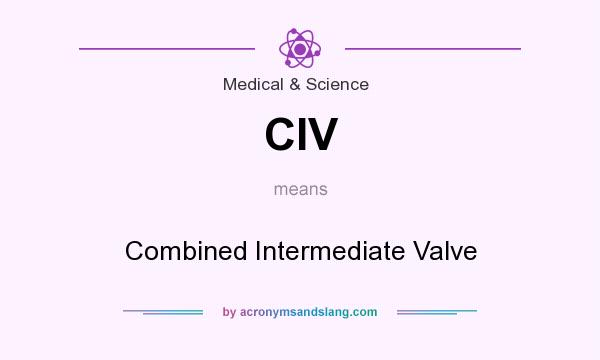 What does CIV mean? It stands for Combined Intermediate Valve