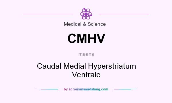 What does CMHV mean? It stands for Caudal Medial Hyperstriatum Ventrale
