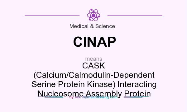 What does CINAP mean? It stands for CASK (Calcium/Calmodulin-Dependent Serine Protein Kinase) Interacting Nucleosome Assembly Protein