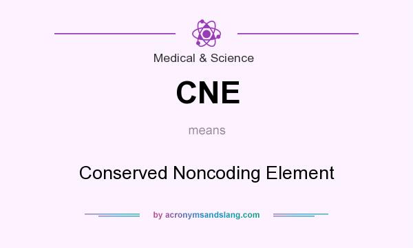 What does CNE mean? It stands for Conserved Noncoding Element