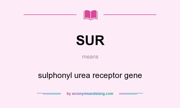 What does SUR mean? It stands for sulphonyl urea receptor gene