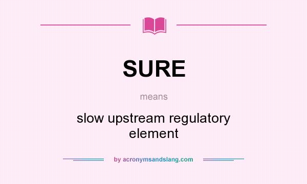 What does SURE mean? It stands for slow upstream regulatory element